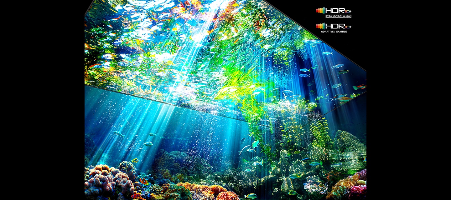 TV 화면 속에서 바다 속이 보입니다. 위에서 빛이 투과되어 들어 옵니다. 오른쪽 상단에는 HDR+ 로고가 있습니다.