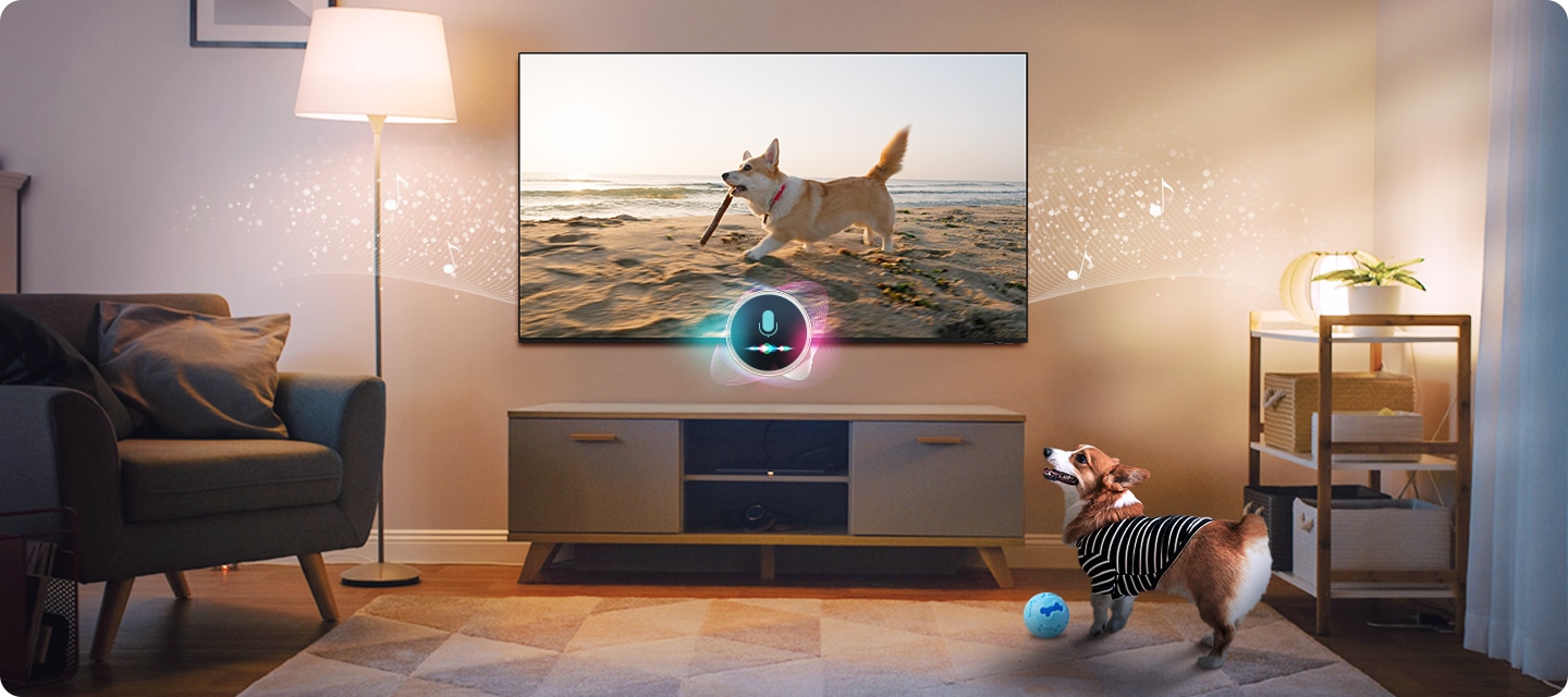 TV 화면에서는 물건을 판매하는 쇼호스트들이 보입니다. TV 하단과 좌측 상단에 홈쇼핑 방송 중에 표시되는 전화번호가 노출되고 있습니다.